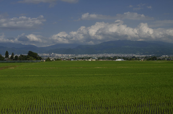 離れて暮らしていても故郷に1票を（画像はイメージ）