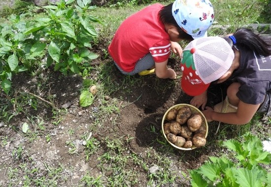 子どもの時から土に親しむと野菜好きになる