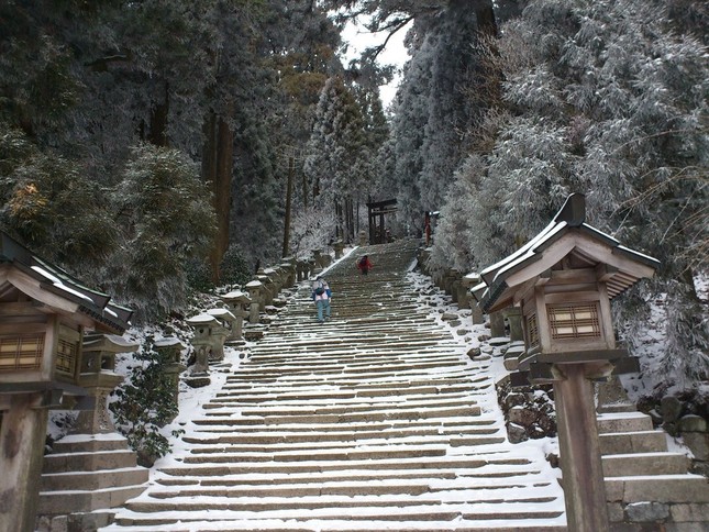 冬の愛宕神社参道（永太郎さん撮影）