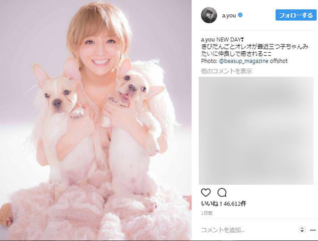 浜崎あゆみ、愛犬2匹抱きしめパシャリ インスタで「癒され」笑顔写真