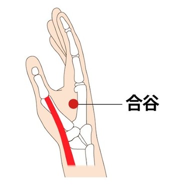 手の親指と人差し指の間、人差し指側の骨の真ん中くぼみ