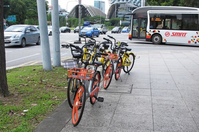 歩道に無造作に放置される自転車も多かった（2018年5月撮影）