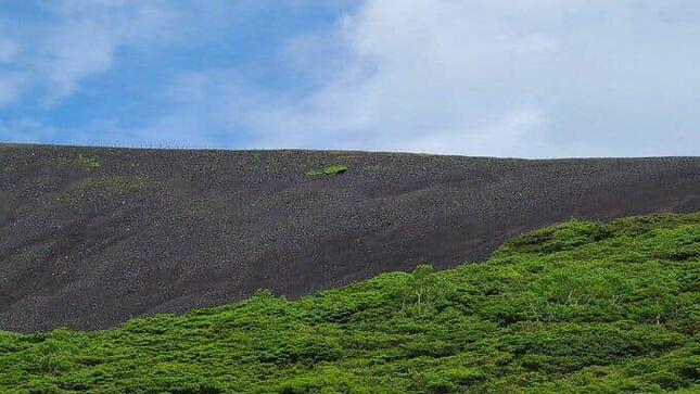 秋田駒ヶ岳の登山道下斜面を行くツキノワグマ。ドローンに追いやられるようだったという（写真は、ツイッター投稿者提供）