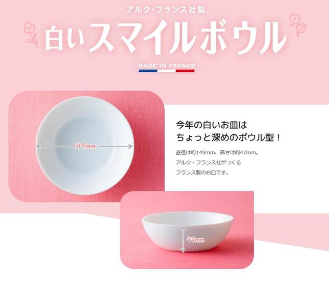 白いお皿ヤマザキ食品の景品 カレー皿に向いている - 食器