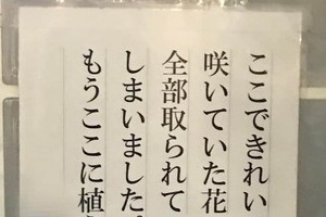 「もうここに植えません」花壇の張り紙に「いいね！」3万件　「ただただ悲しい」「言葉が出ません」