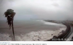 「やばい折れそう」「耐えるんだ！」　台風14号で思わぬ注目...鹿児島の「ヤッシー」に応援広がる