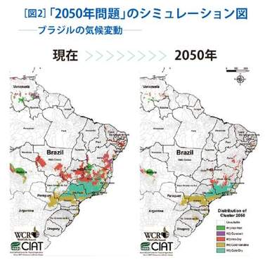 （図1）「2050年問題のシミュレーション図―ブラジルの気候変動」（出典元：ワールドコーヒーリサーチ）