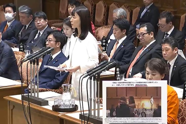 自民党青年局の「過激パーティー」問題は参院予算委でも問題になった（写真は参院インターネット中継から）