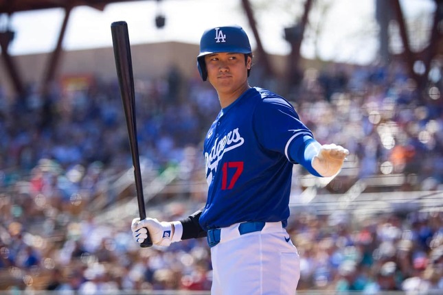 大谷翔平選手（写真：USA TODAY Sports／ロイター／アフロ）