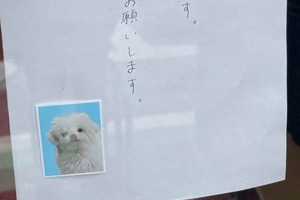 証明写真つきで「本日犬がいます」　古着屋の張り紙が「かわいいお知らせ」と話題、意外すぎるそのきっかけ