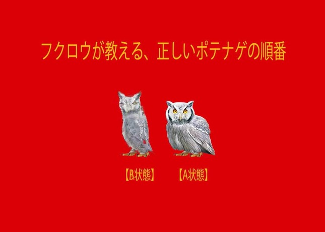 「男女」の替え歌で「ポテナゲ」を紹介（公式X（@McDonaldsJapan）より）