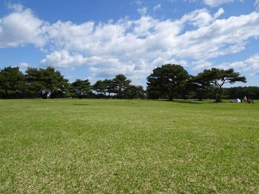 5年ぶりに「ROCK IN JAPAN FESTIVAL」の会場になる国営ひたち海浜公園