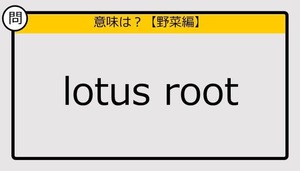 【この英単語の意味は？】lotus root