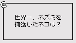 【クイズ】世界一、ネズミを捕獲したネコは？