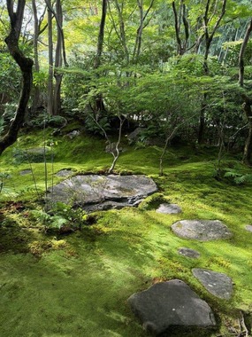 高台寺岡林院のXアカウント（＠korin_in）より、2024年9月10日に投稿された写真