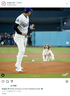 ロサンゼルス・ドジャースのインスタグラム（＠dodgers）より