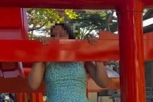 神社の鳥居で懸垂、階段で逆立ち...チリ人姉妹の動画に批判→謝罪　米大型クルーズ船の観光客だった