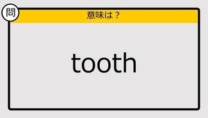 【大人の英語テスト】tooth《この単語の意味は？》