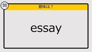 【大人の英語テスト】essay《この単語の意味は？》