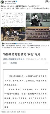 中国ジャイアントパンダ保護研究センター雅安碧峰峡基地のXアカウント「シャンシャンの家」でも「永明」の動向は伝えられた