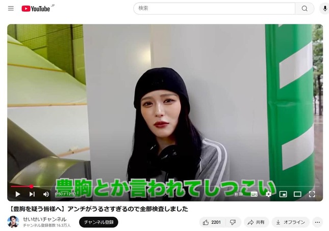 YouTubeチャンネル「せいせいチャンネル」より