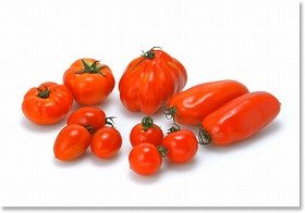 高級トマトの苗 家庭向けに販売 サントリーフラワーズ J Cast ニュース 全文表示