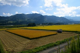 農業への参入は増えるのか（写真はイメージ）