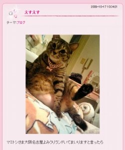 しょこたん」の飼い猫 可愛がり過ぎ「疑惑」: J-CAST ニュース【全文表示】