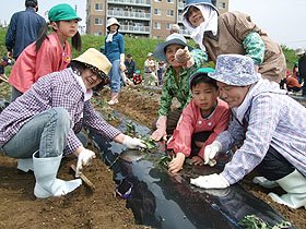 「サツマイモ」でつながる被災地とのきずな【岩手・花巻発】