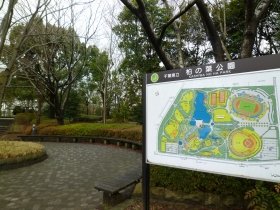 柏の葉公園では、県による除染が実施された