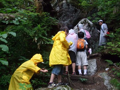 雨に濡れた山道に足を滑らせないよう、目指すはヒカリゴケ＝薬師岳入口近くの山道で