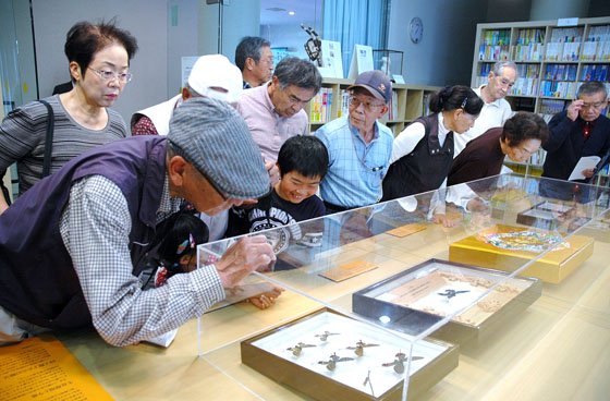 標本を鑑賞する見学者＝2014年10月4日、大槌町中央公民館