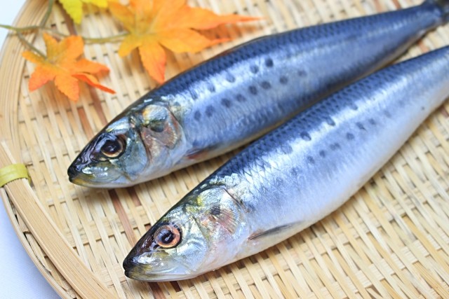 青魚を食べると「うつ」になりにくい　EPAとDHAのスゴイ効果に注目