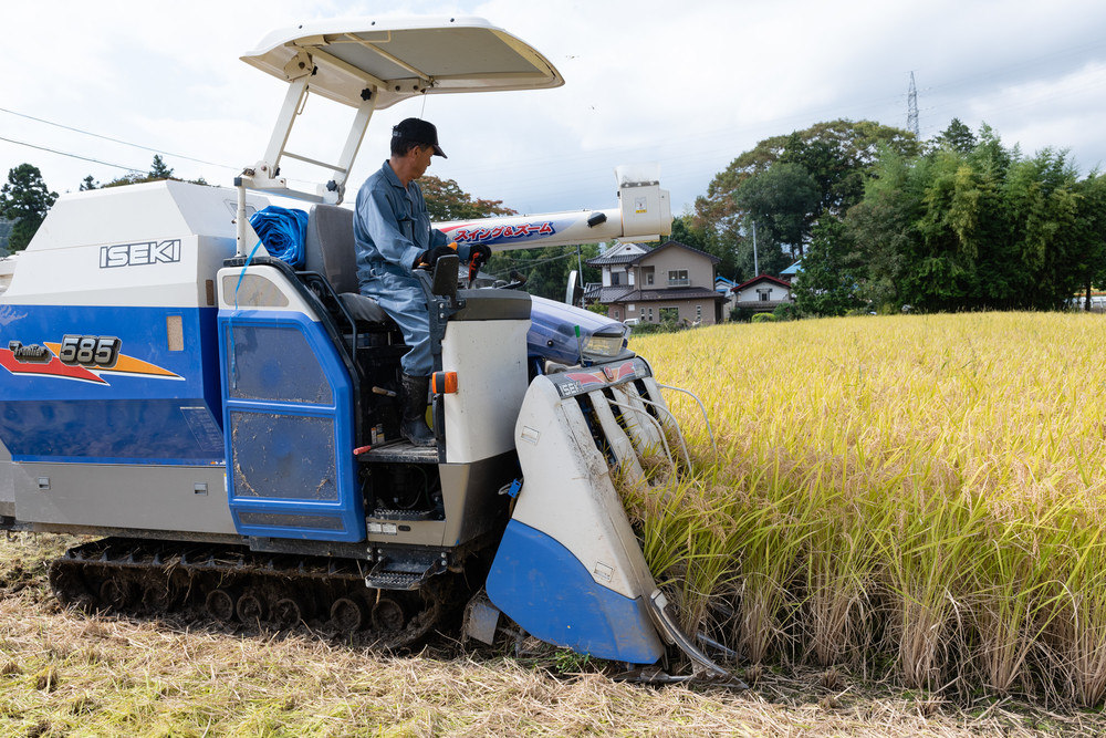 コンバインで稲刈り