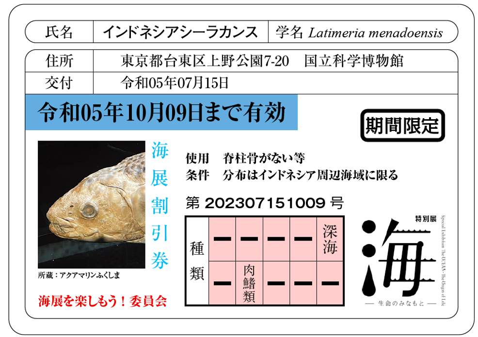 インドネシアシーラカンス