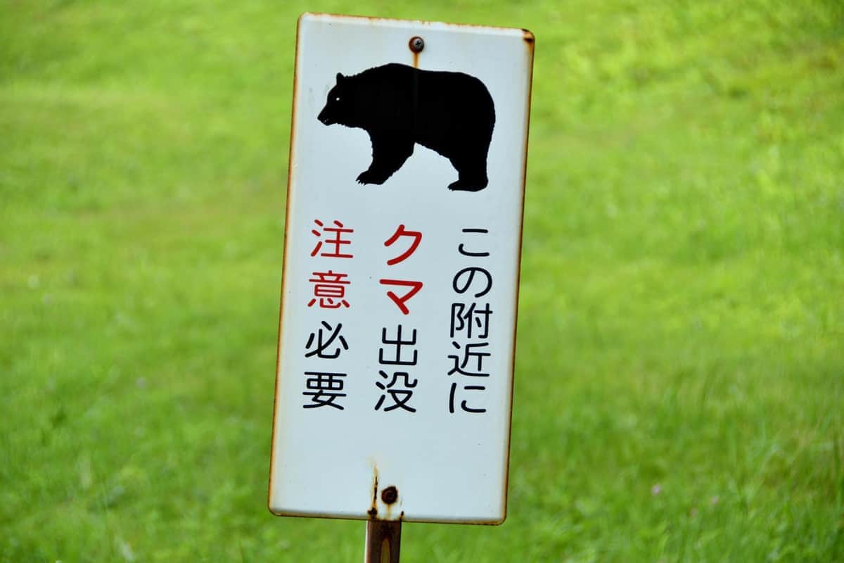 都内でもクマの目撃情報が集まっている