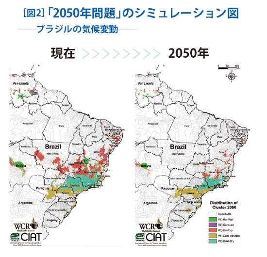 （図1）「2050年問題のシミュレーション図―ブラジルの気候変動」（出典元：ワールドコーヒーリサーチ）