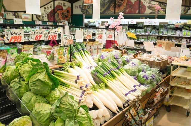 ネギとタマネギ「大幅値上がり」の師走　野菜の産地を襲った夏の猛暑と水不足