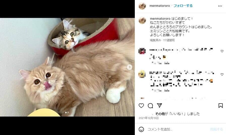 飼い猫を披露しているエミリンさんのインスタグラム（＠Menmatororo）より