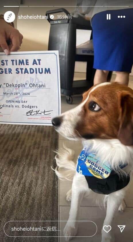 大谷選手の愛犬・デコピン（大谷選手のインスタグラムより）