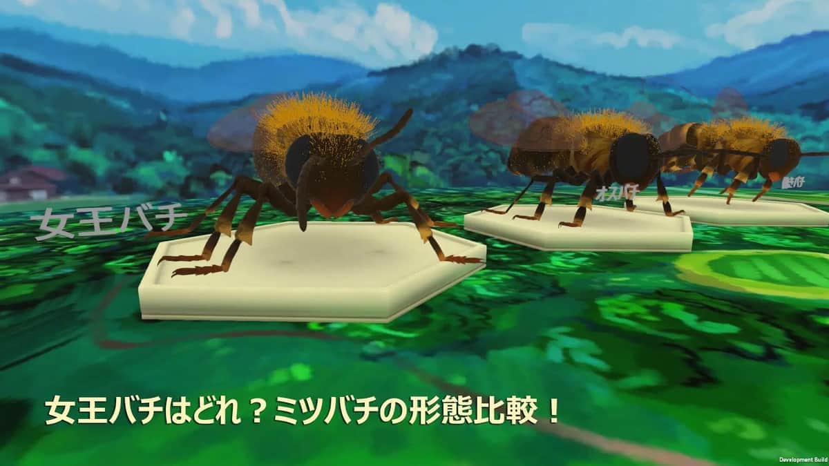 「メタバース動物園」ミツバチの生態を楽しく学ぼう　「赤坂サカス」で3日間公開