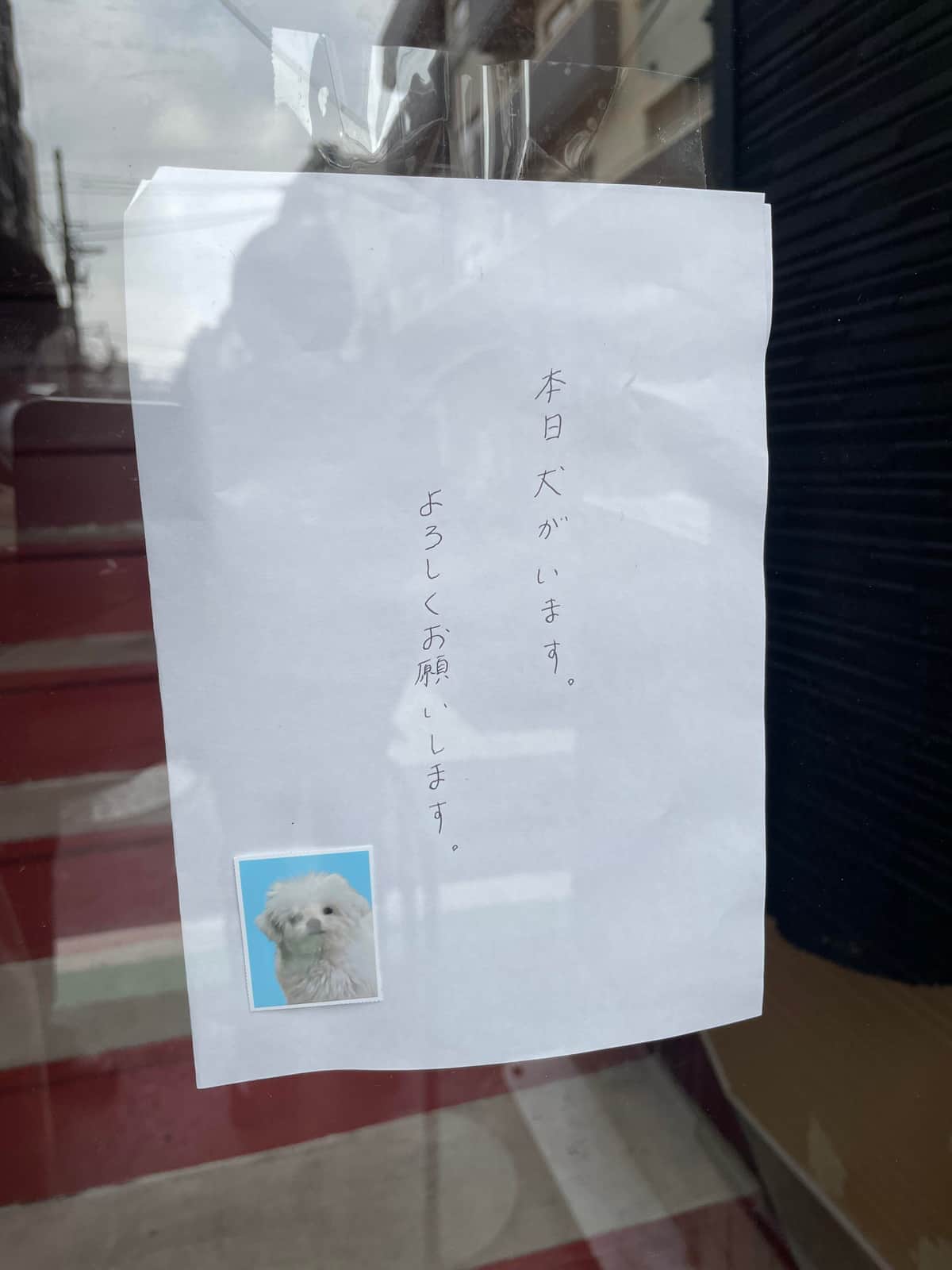 証明写真つきで「本日犬がいます」　古着屋の張り紙が「かわいいお知らせ」と話題、意外すぎるそのきっかけ