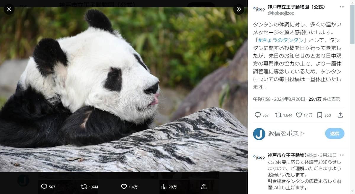 国内最高齢、神戸・王子動物園のパンダ「タンタン」死ぬ...園長「太陽みたいな存在」　ネット悲しみ「涙が止まらない」「忘れないよ」