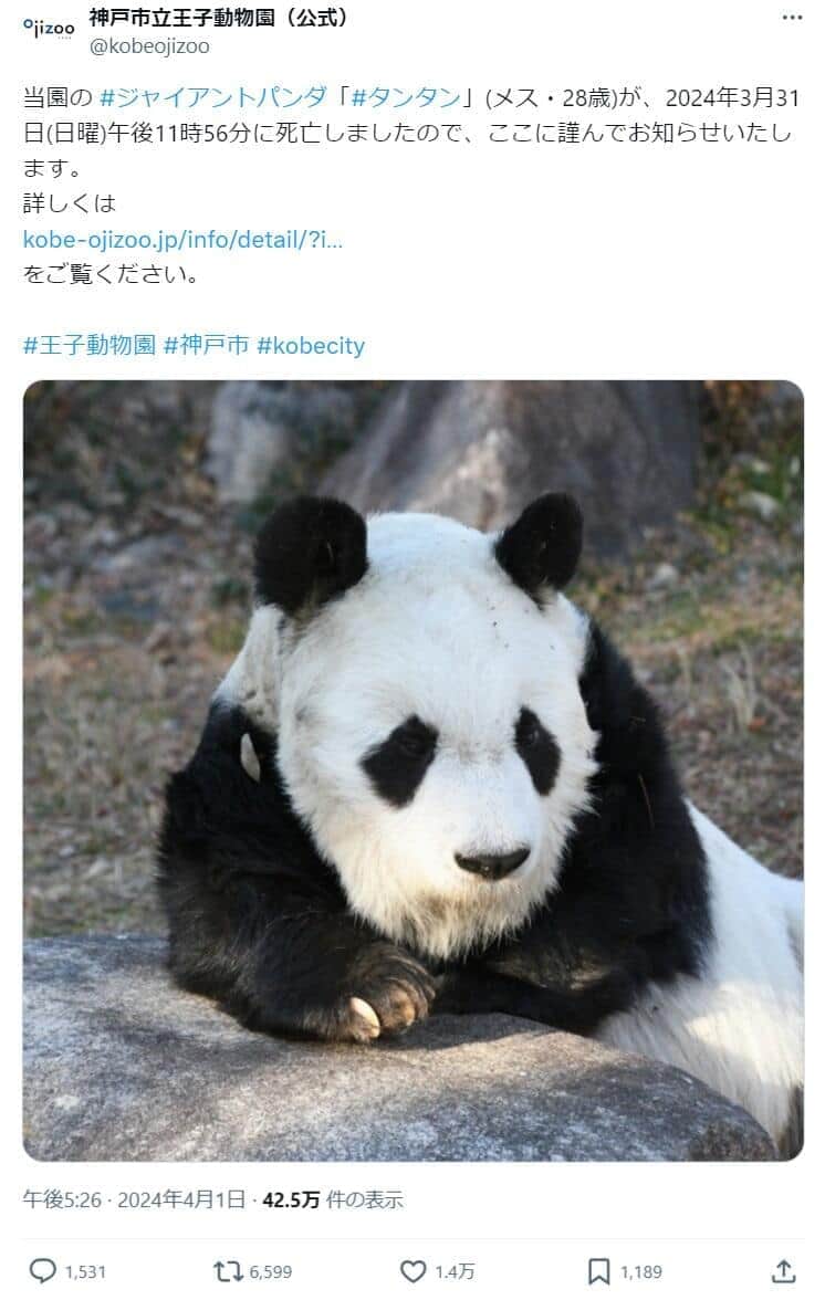 王子動物公園の声明（神戸市立王子動物園のX（@kobeojizoo）より）