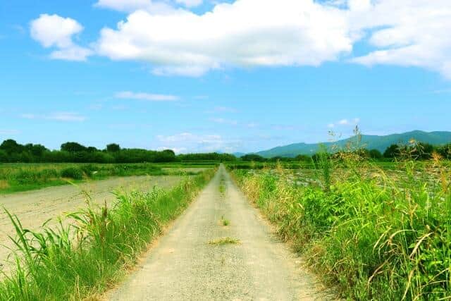 幼き日の原風景