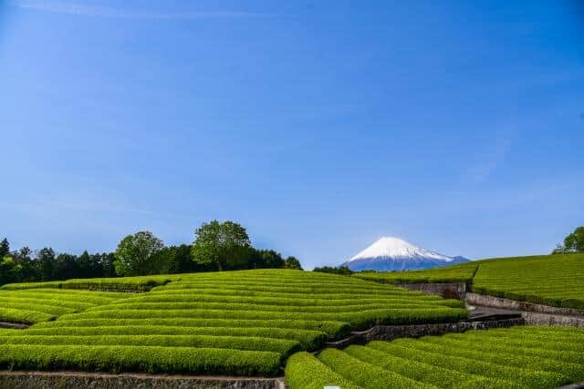 「農業」の倒産が過去最多に