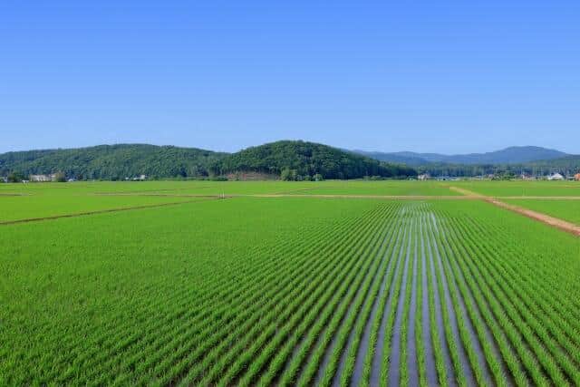 「農業」の倒産が過去最多に