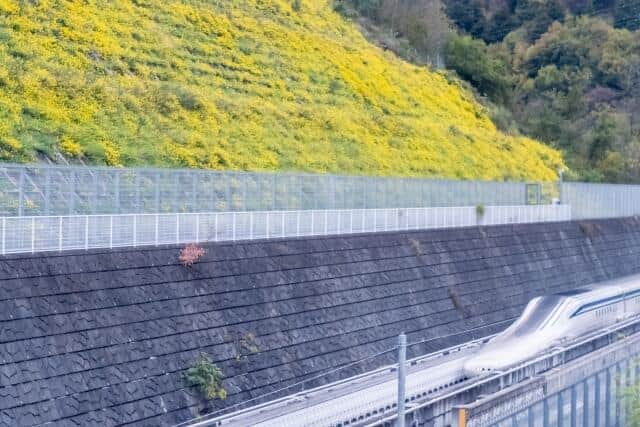 乗車時間は1時間余りに