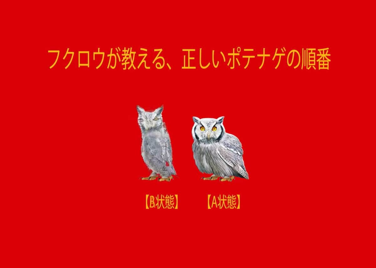 「男女」の替え歌で「ポテナゲ」を紹介（公式X（@McDonaldsJapan）より）