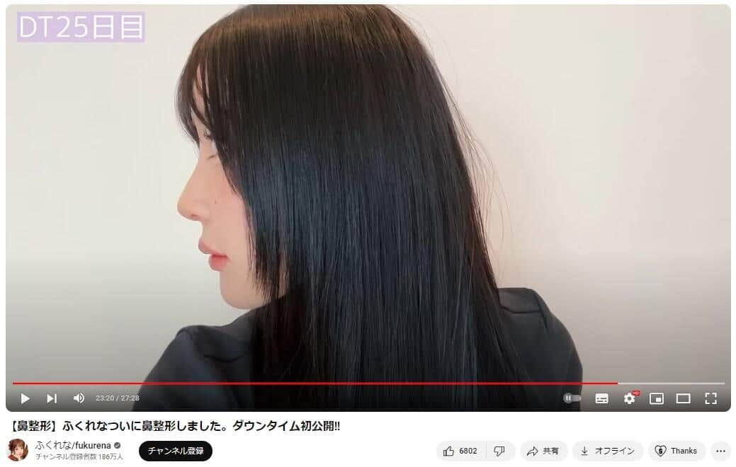 YouTubeチャンネル「ふくれな/fukurena」で2024年6月17日に公開された動画より